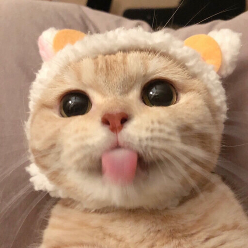 猫全身染紫色是什么原因?揭秘背后的真相